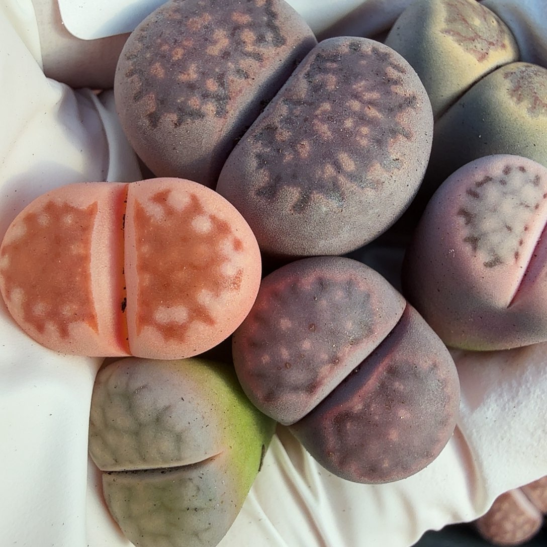 我就觉得他在390你