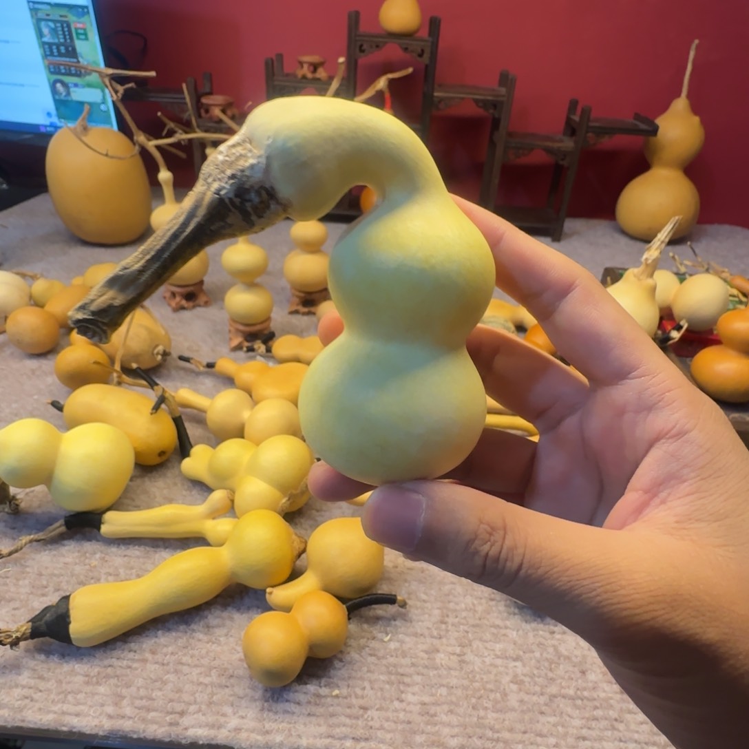 放**羊哈哈我还以为你在睡觉呢你在干嘛呢