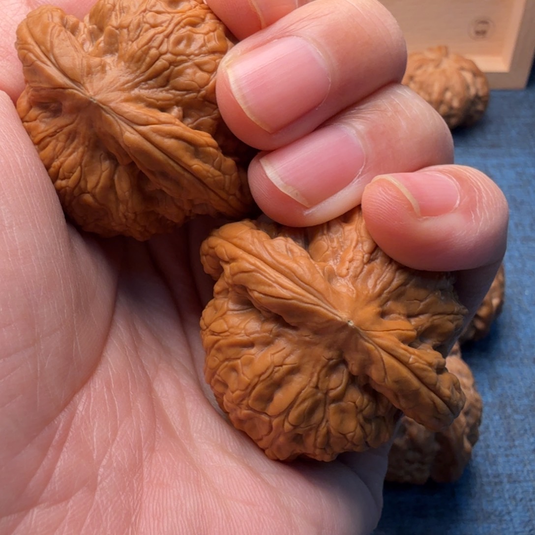 猴头核桃把件山****?金公子44尺寸631