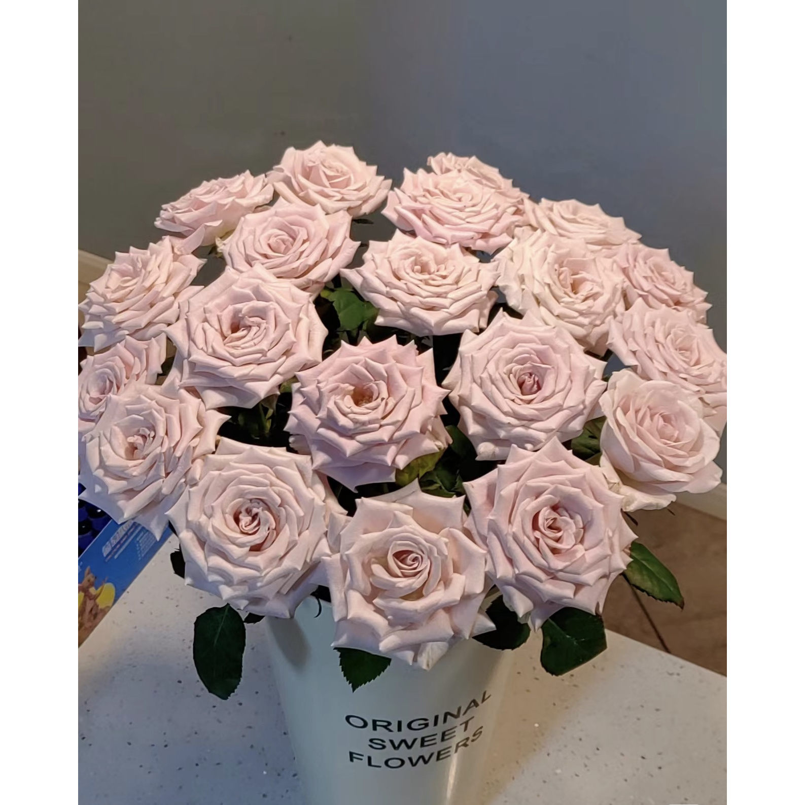 【曼塔】云南斗南基地现采现发品质好曼塔单头玫瑰