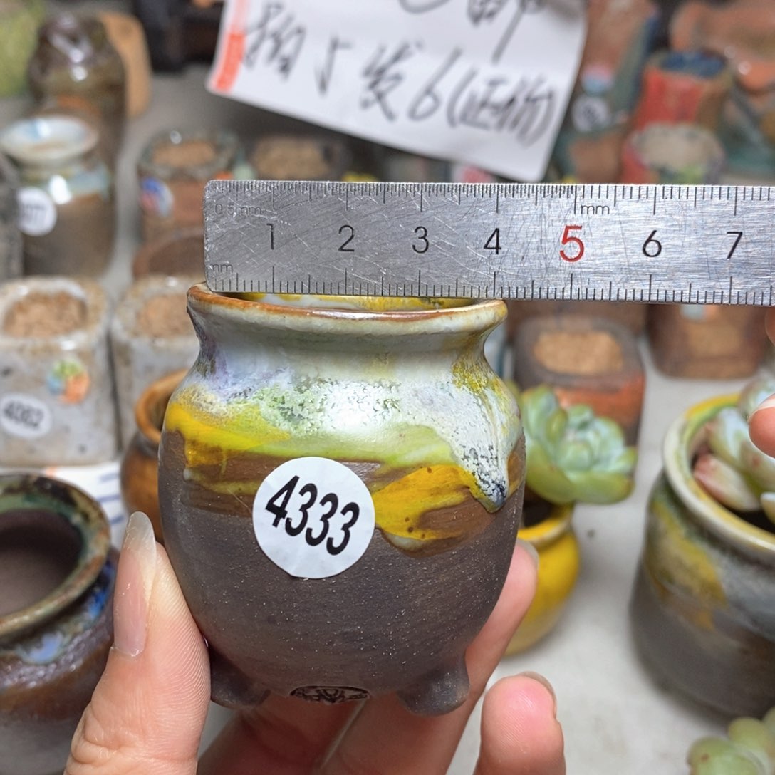 拍5送一个小礼物