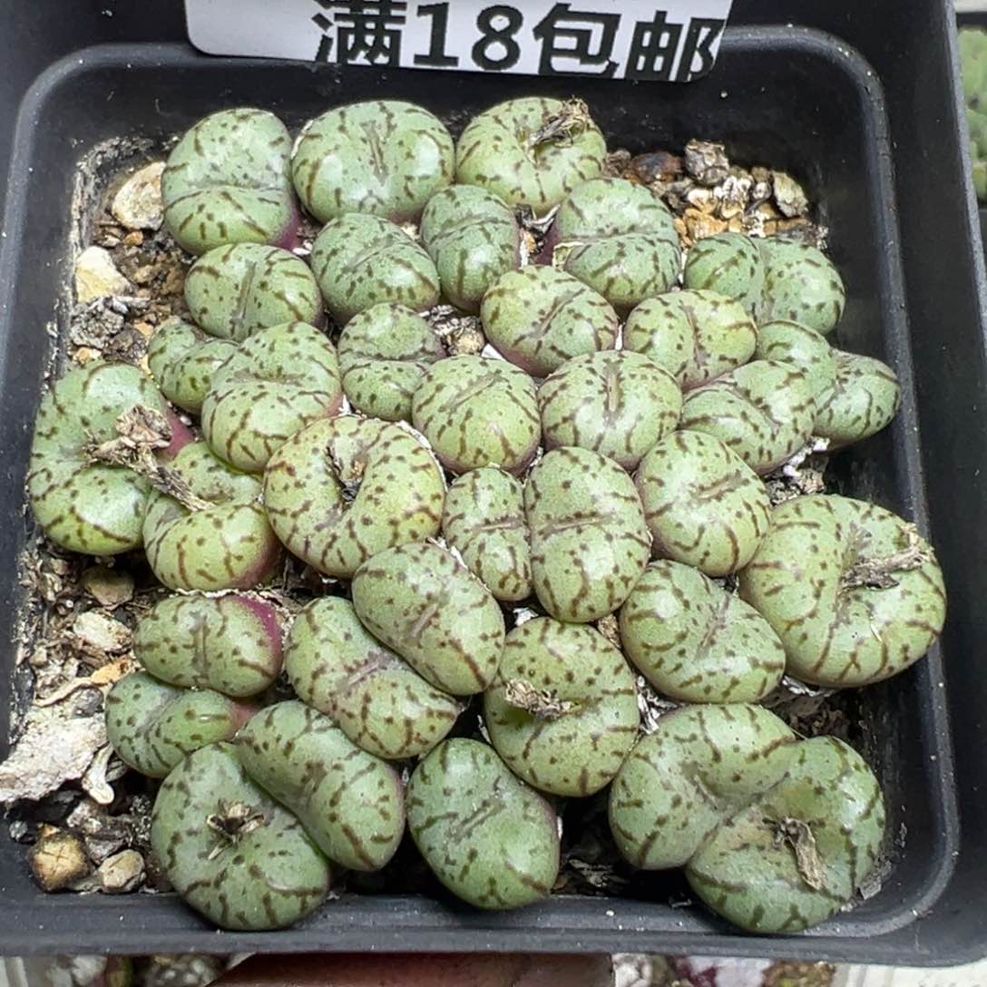 【闪购商品】 363。   