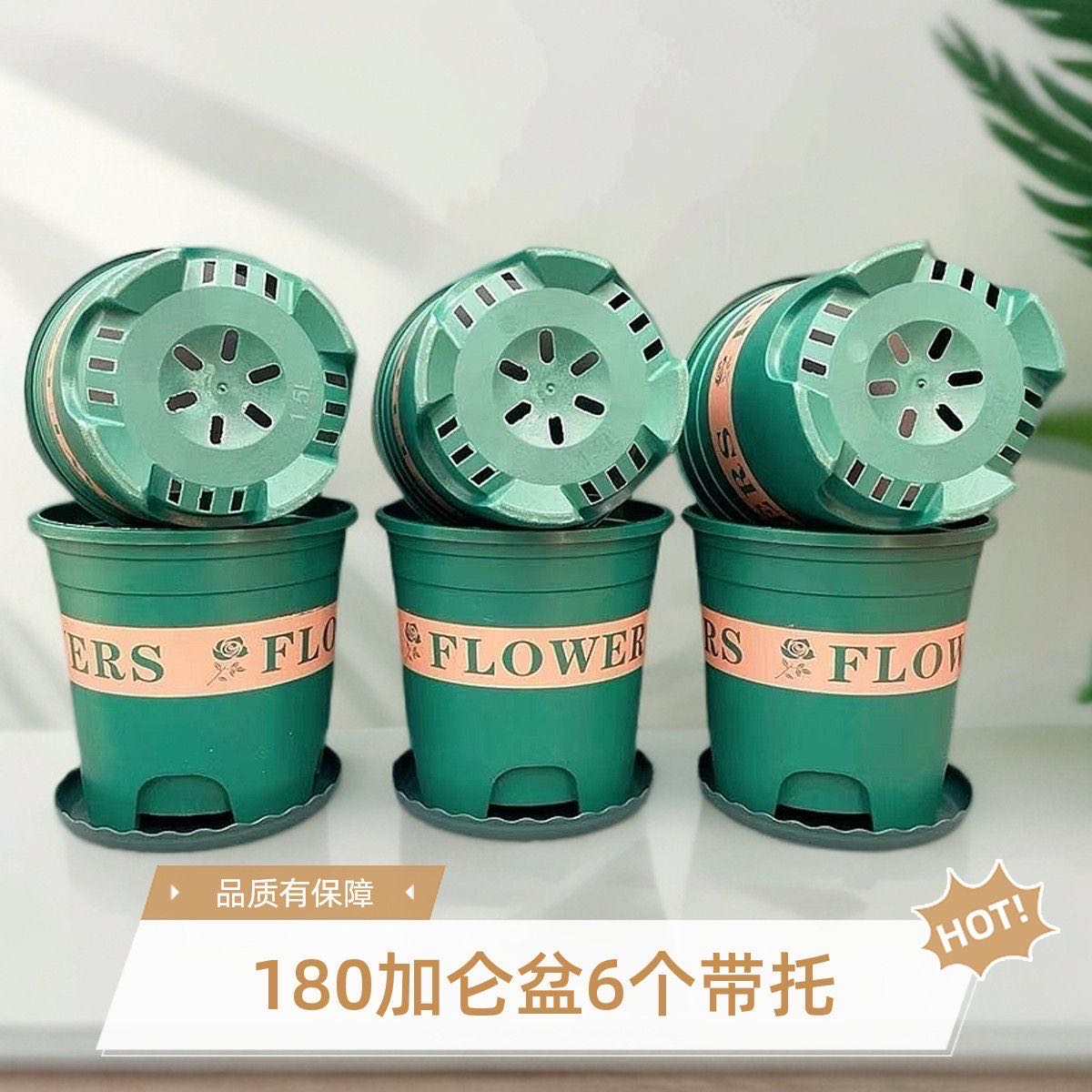（6个带托盘）180加仑花盆加仑盆家用塑料花盆塑料>直径17高17厘米