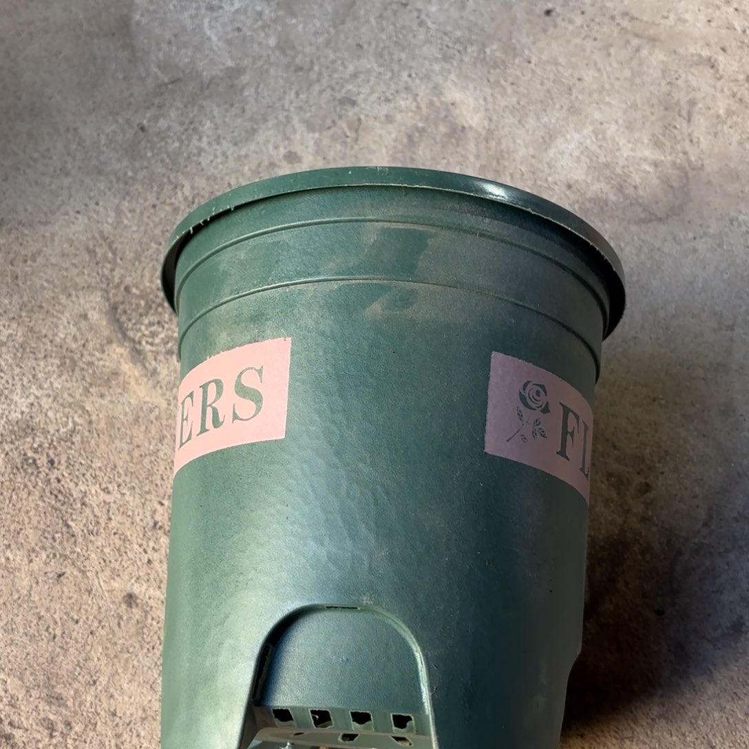 新绿加伦控根盆22口径发10个