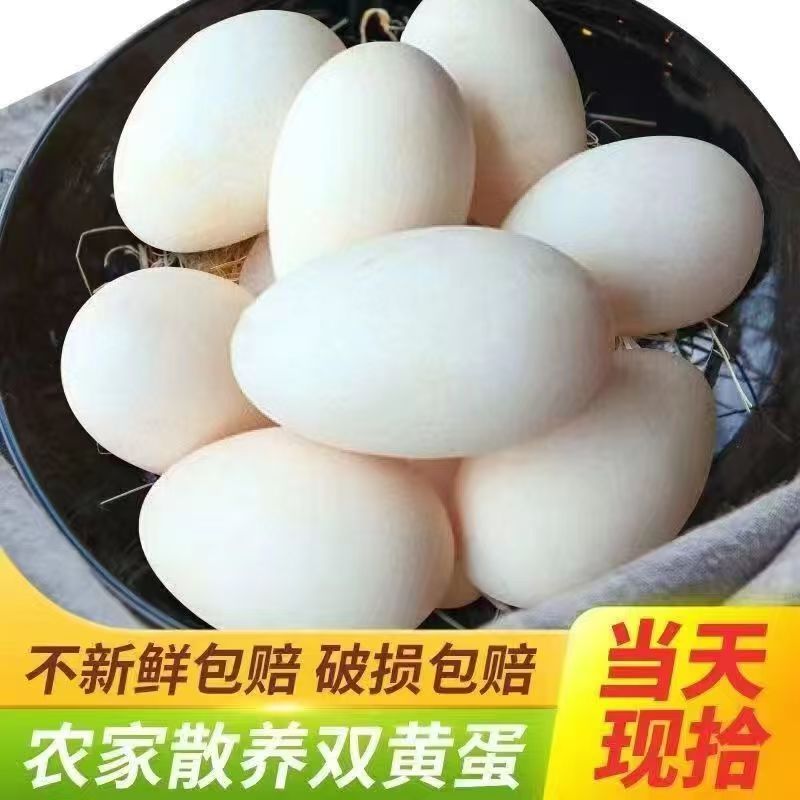 新鲜农家散养土鹅蛋孕妇适用正宗特产生鹅蛋