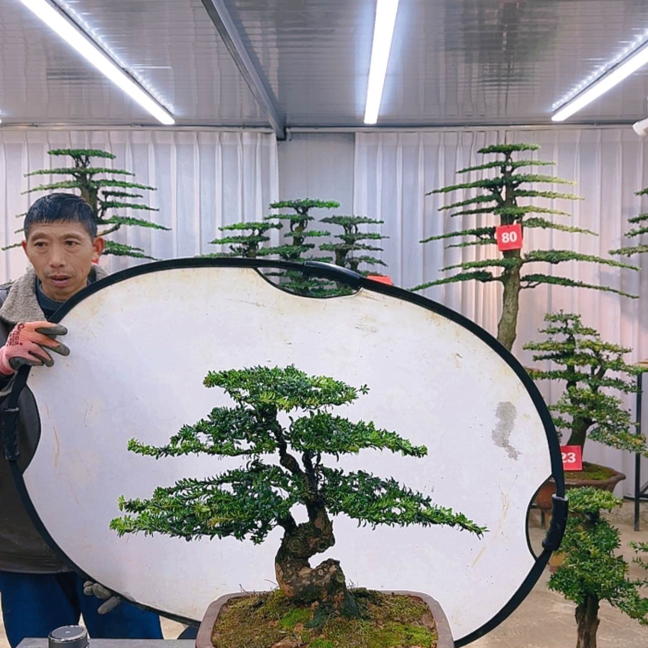 【闪购商品】000000