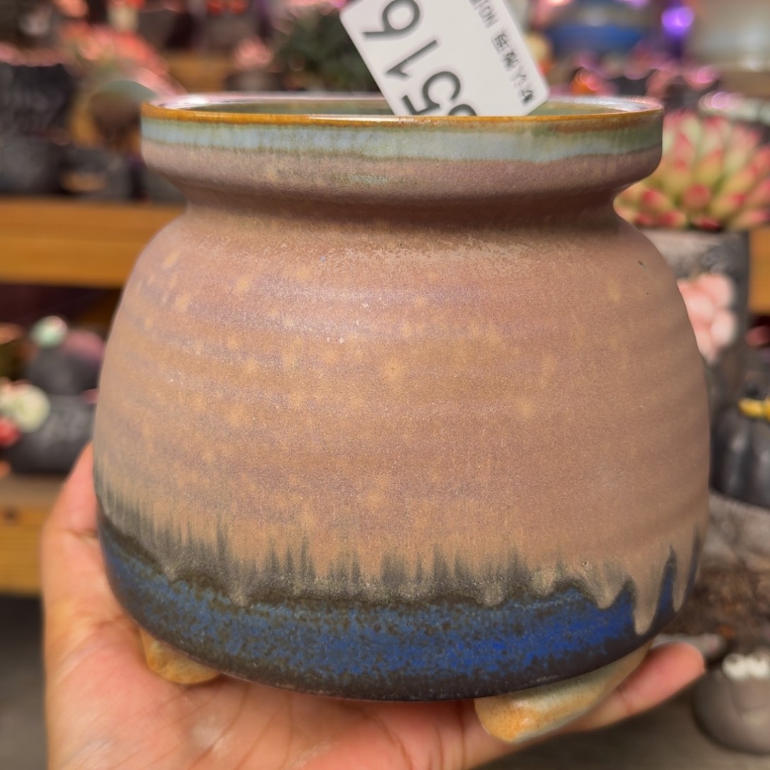 重庆小燕子欢迎大家516