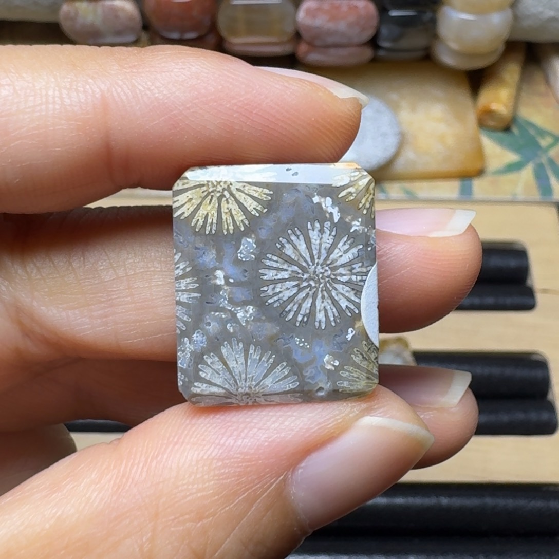 硅化玉清晰大花40未镶嵌小*