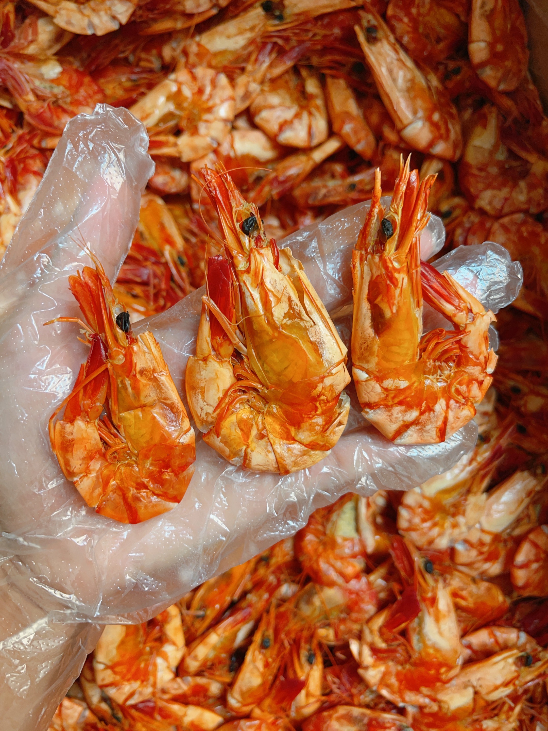 新晒中号九节虾干咸水虾干开袋即食煲粥煲汤500g/包