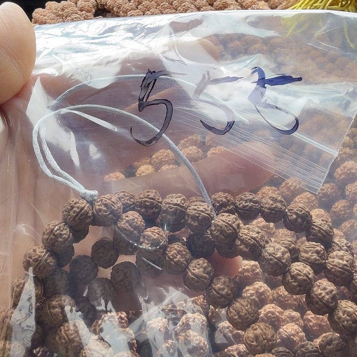 5***5金刚菩提吊坠9左右不保