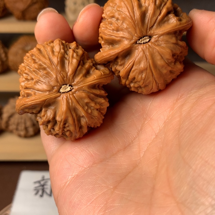 人***逢大叶紫檀（黑酸枝木类）金麒麟4