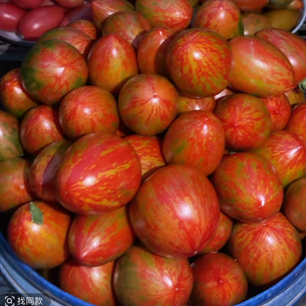 东北皮球柿子(水果都是发出有一些青 放两天透红 介意青的不要拍)