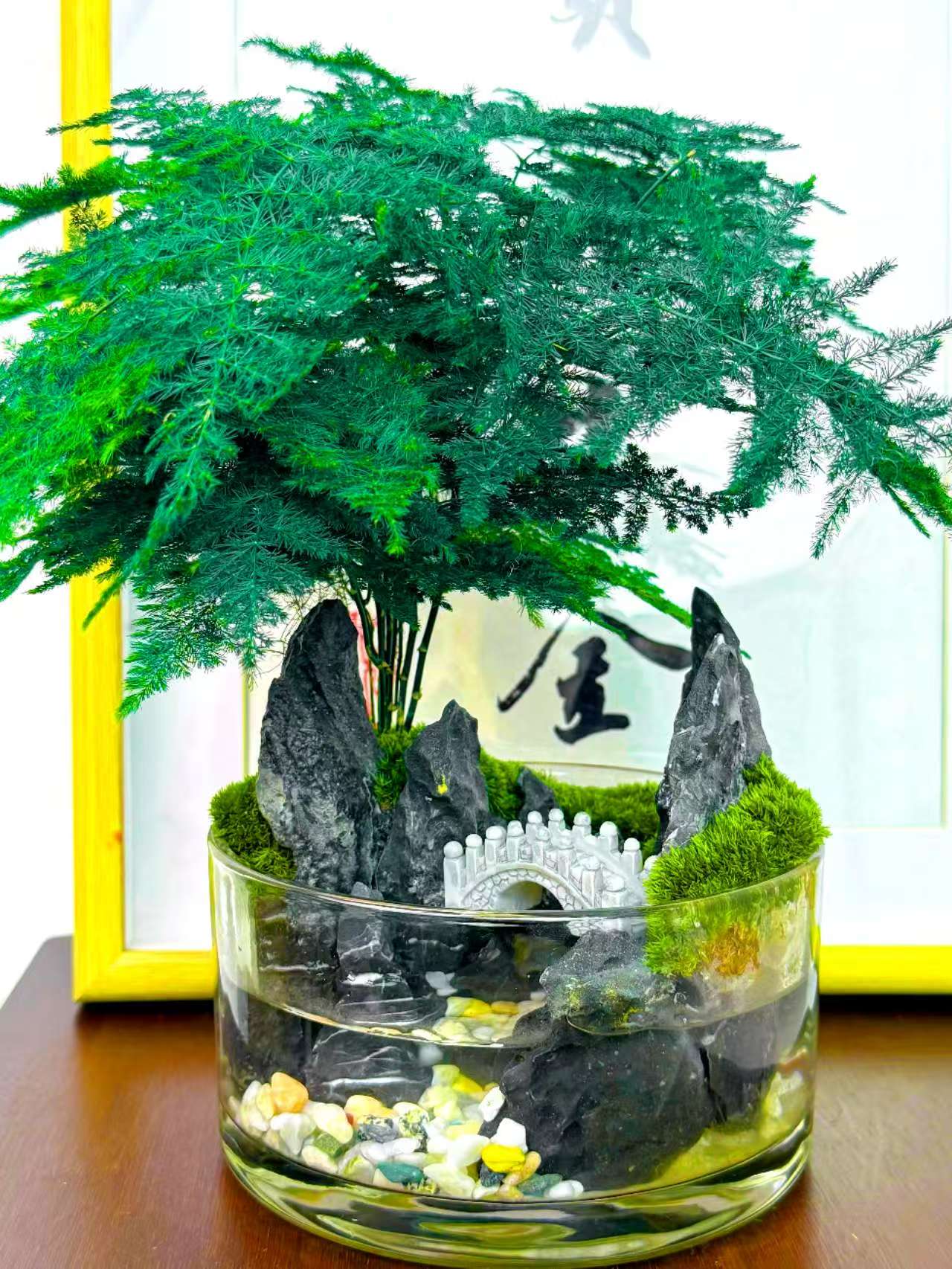 逐流~微景观桌面景观创意造景水陆缸造景鱼缸文竹青龙石15*8