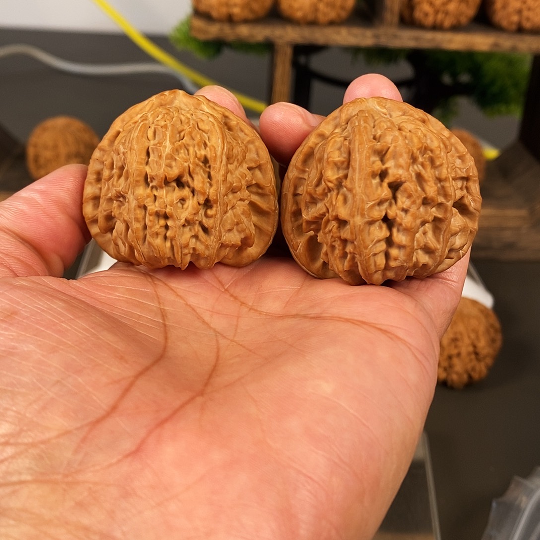 文玩核桃把件角白红皮果骨质好