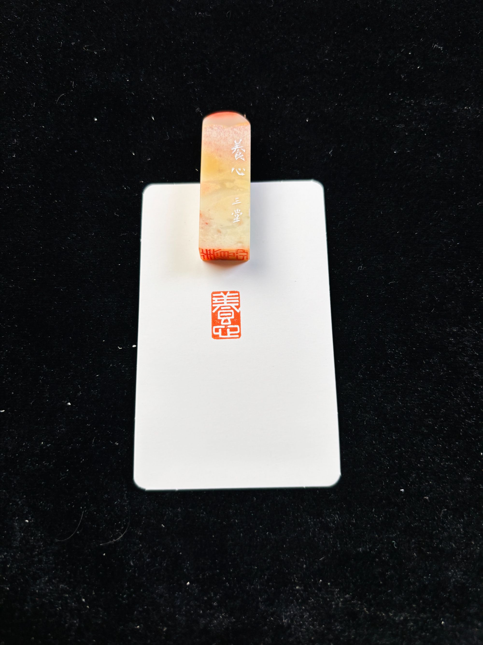 0.8x1.4cm引首章：养心