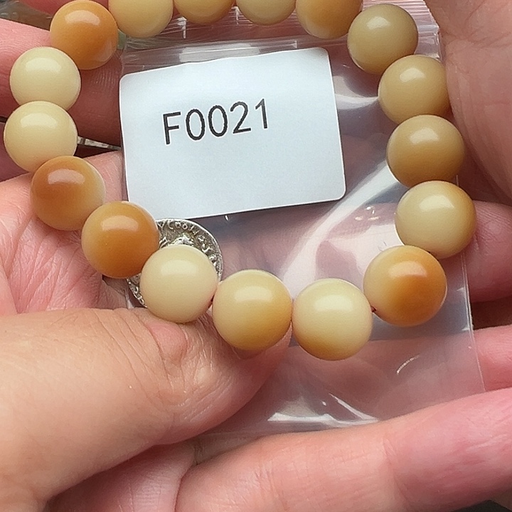 ****心菩提根/象牙果手串