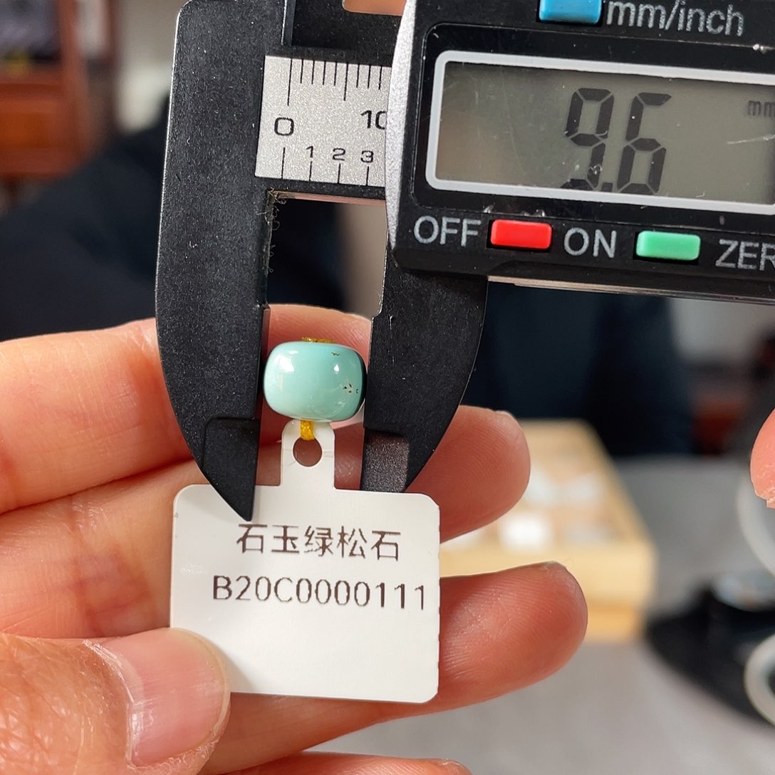 绿松石颈饰未镶嵌