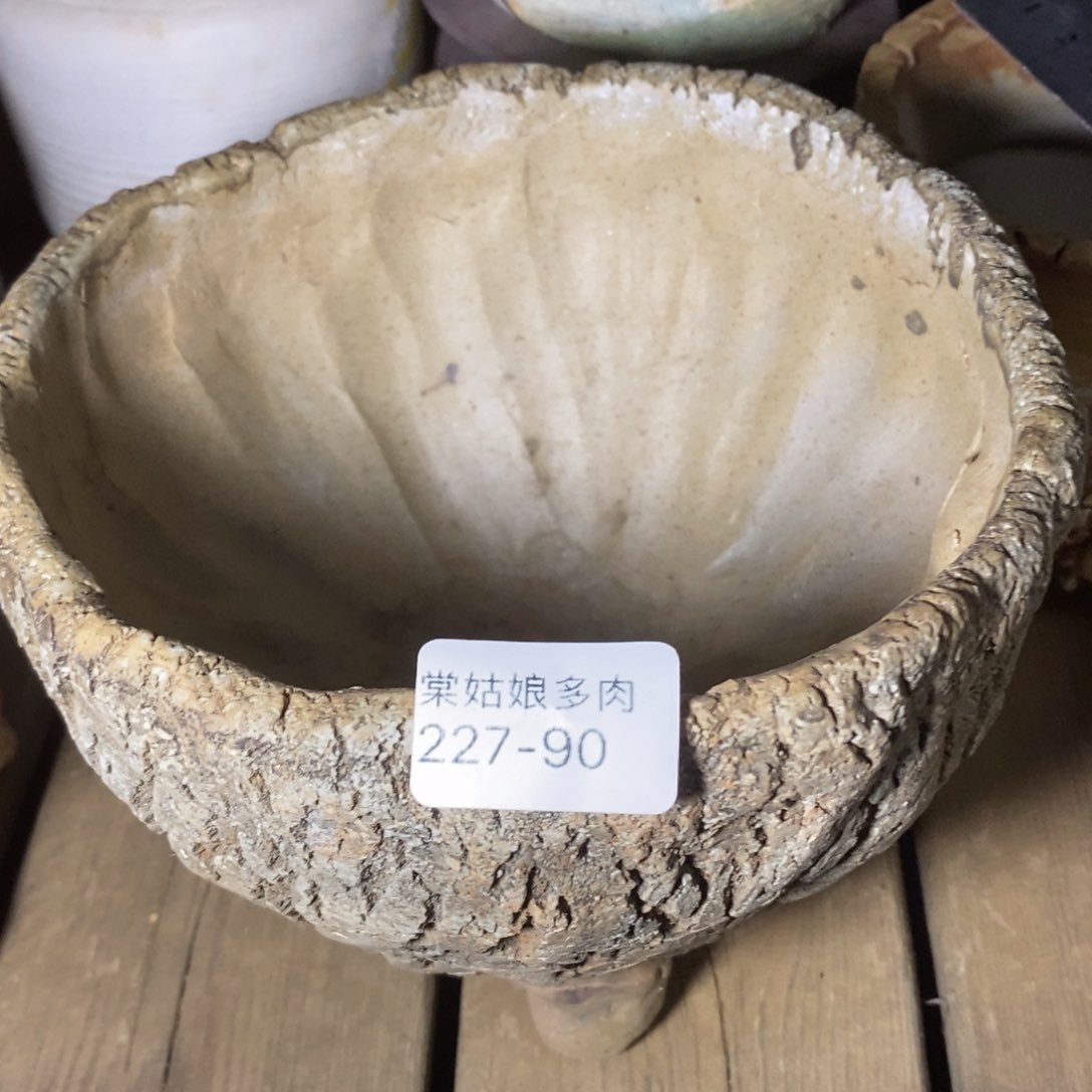红陶龙*天90号链接一个