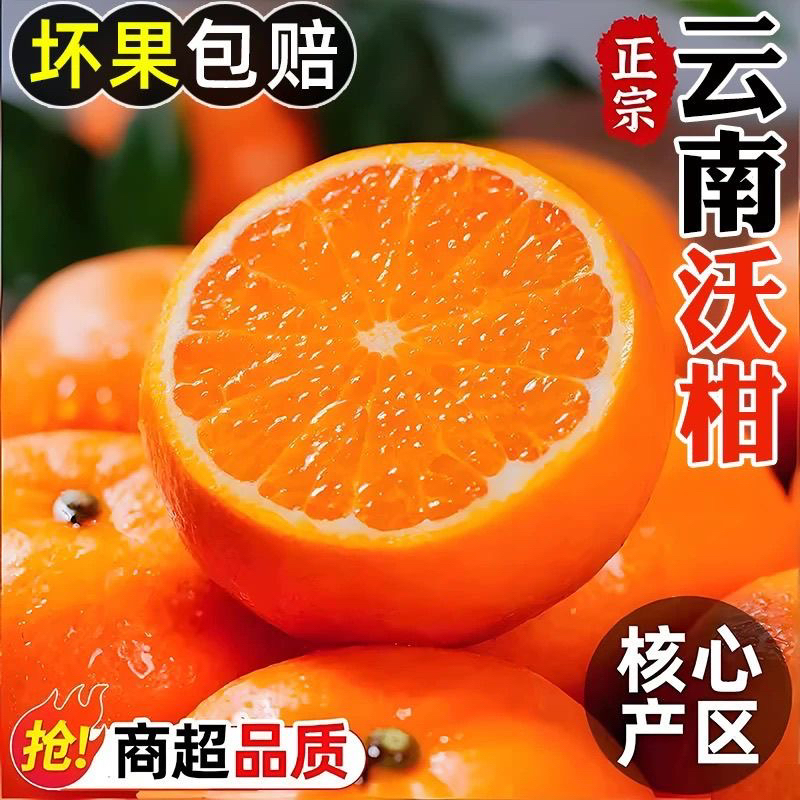 【现摘沃柑】正宗云南高山沃柑鲜货速发多新鲜水果橘子碰柑批发
