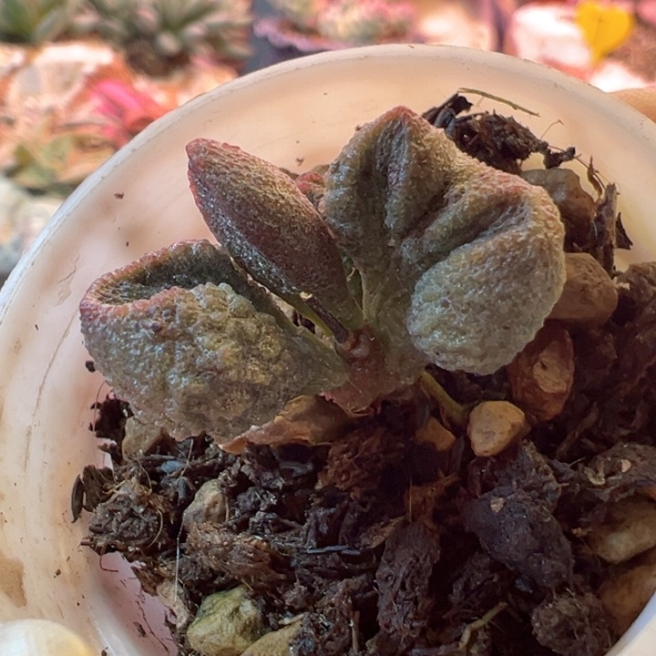 吖****?可以说我很喜欢看这