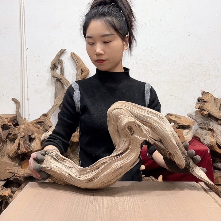柏木乔*我们都是好孩子