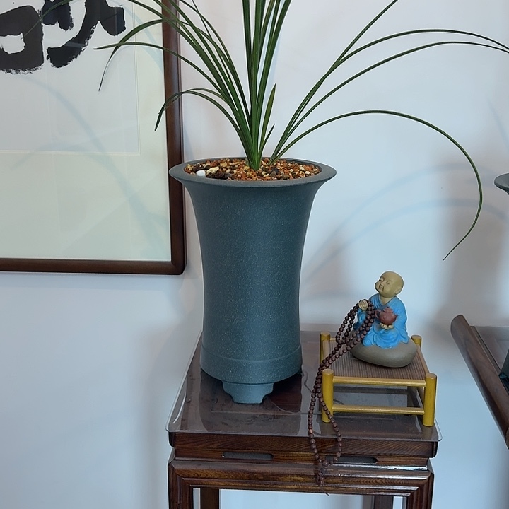 紫砂花盆彬*32束腰豆青1大金钟红色1