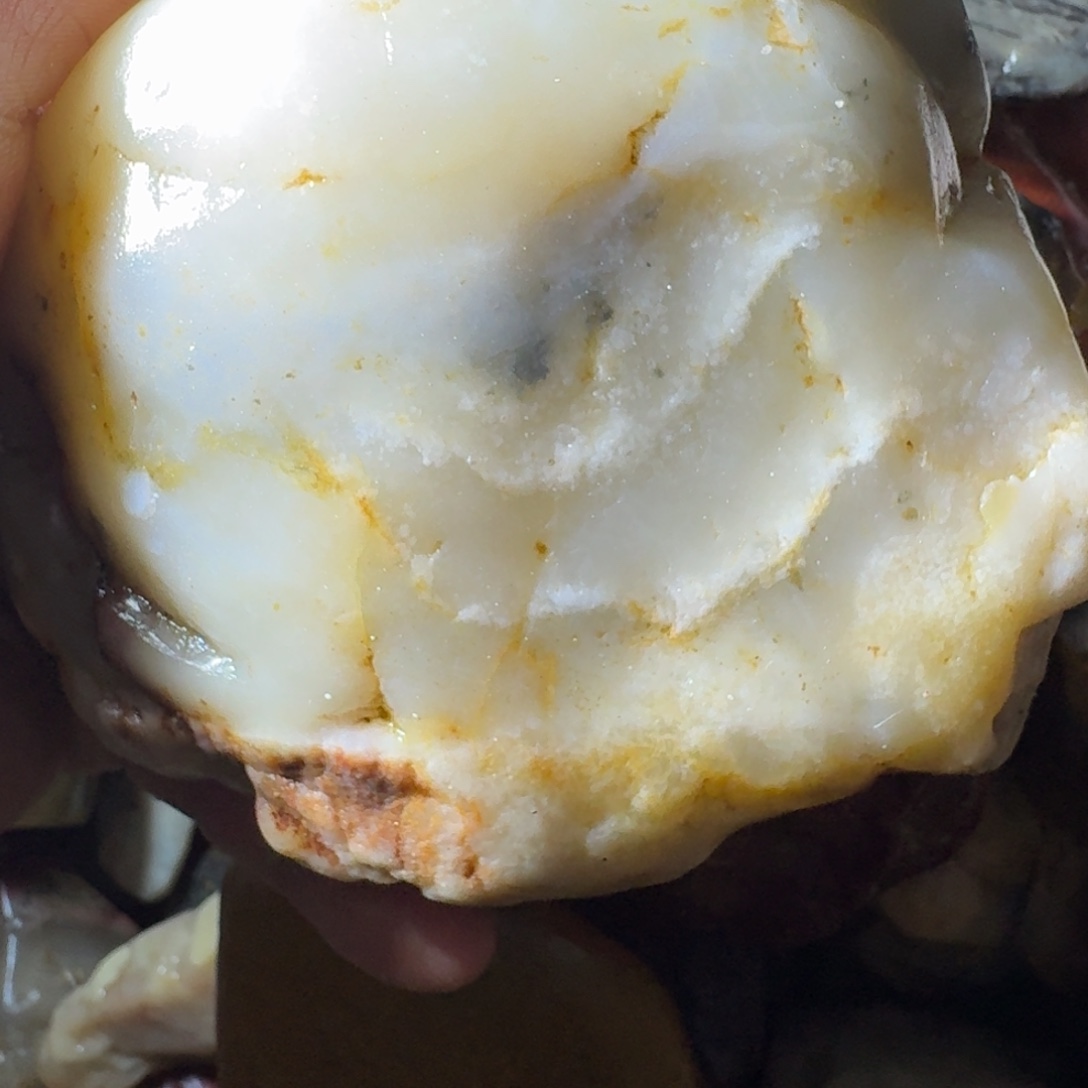 石***店寿山石8998899988999