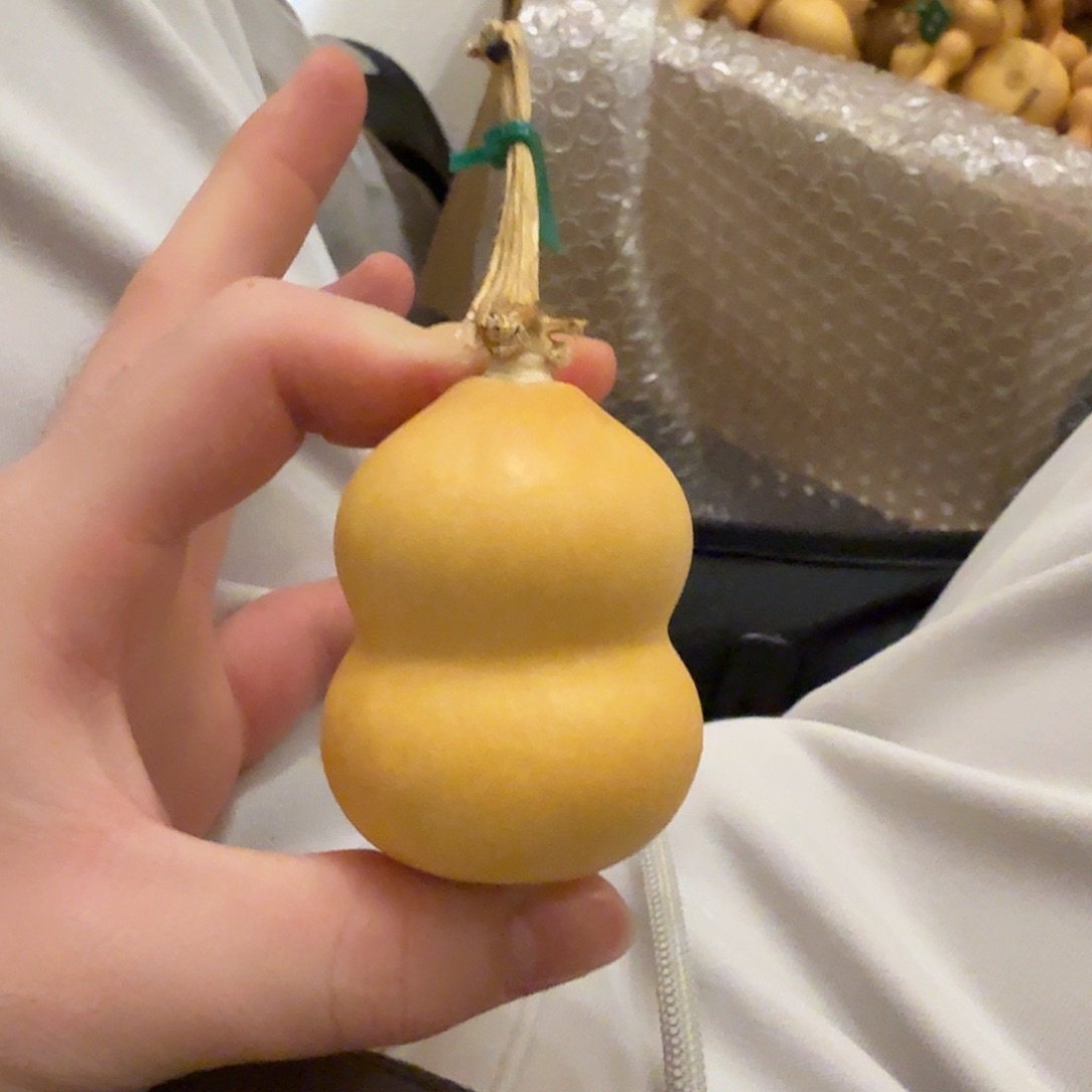 无***常舎得出品精选葫芦SHEDE