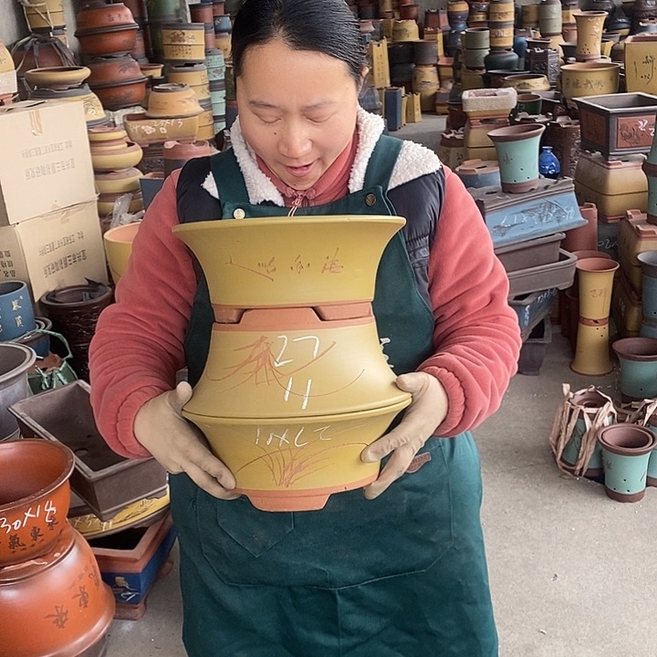 紫砂花盆紫砂花盆盆栽花卉苗木种植