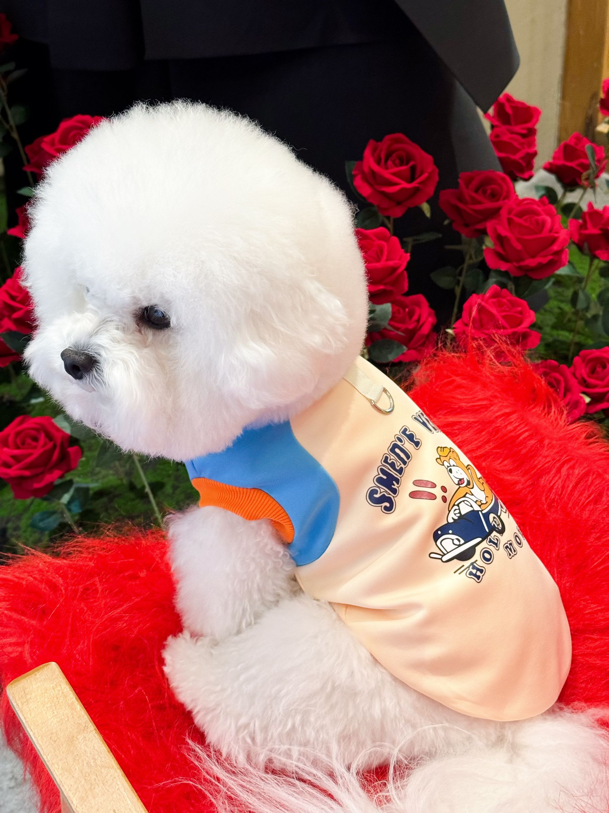 宠衣优选 | 狗狗猫咪春秋款不粘毛树叶图案小中大型宠物衣服