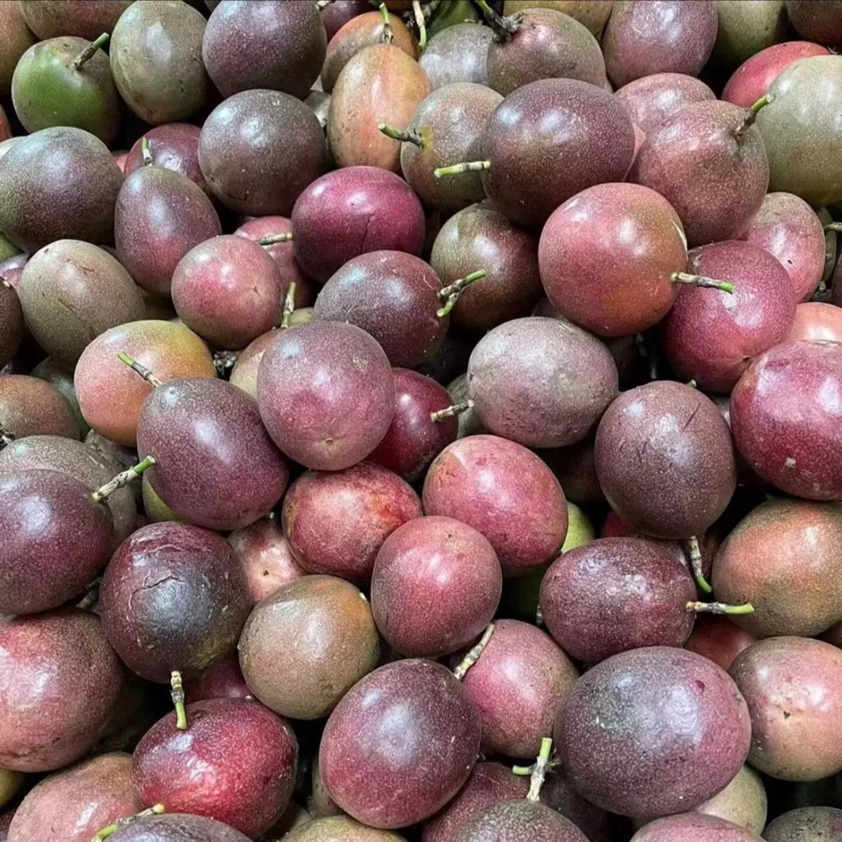 云南紫皮百香果大果新鲜采摘酸甜多汁当季水果