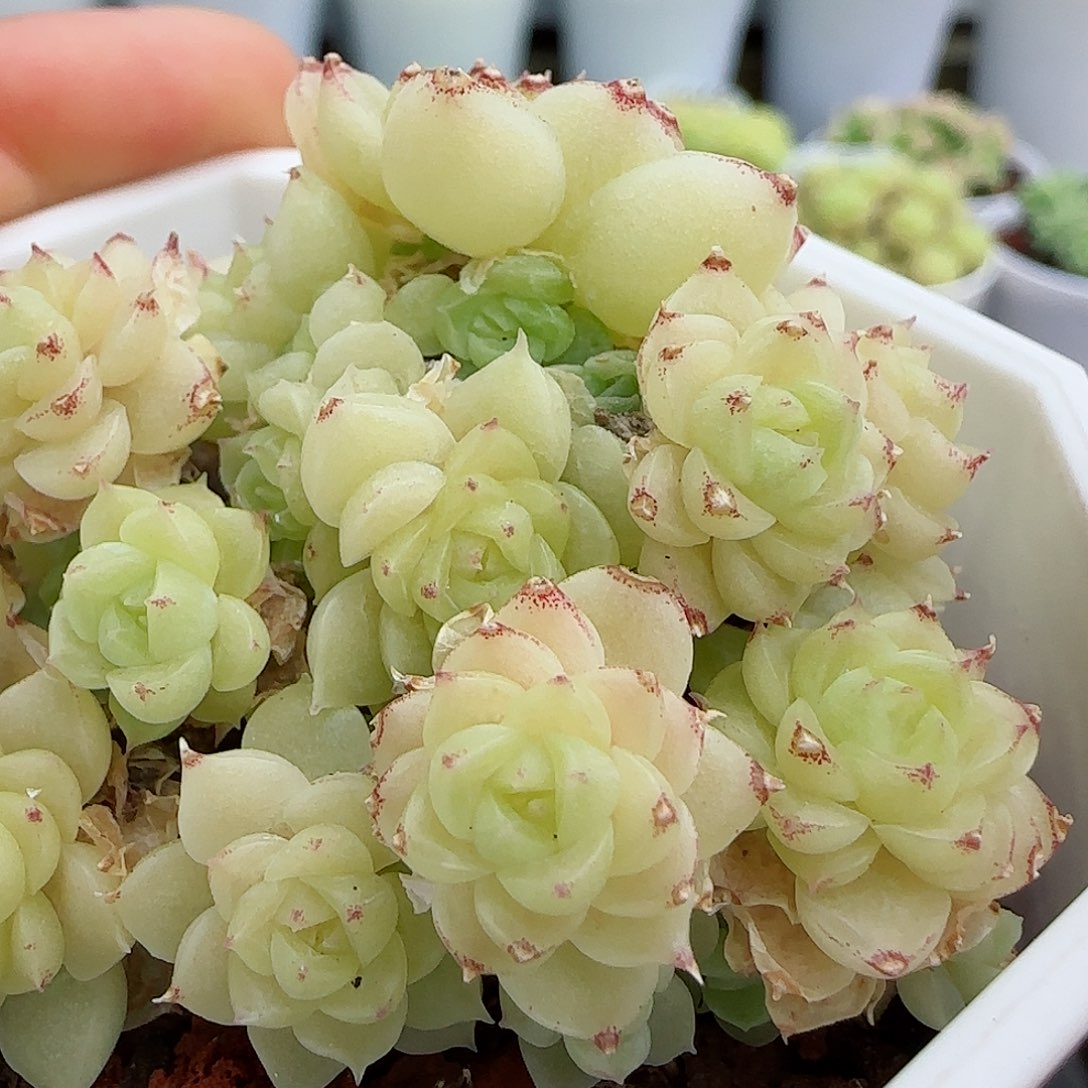 【闪购商品】0510-92福利