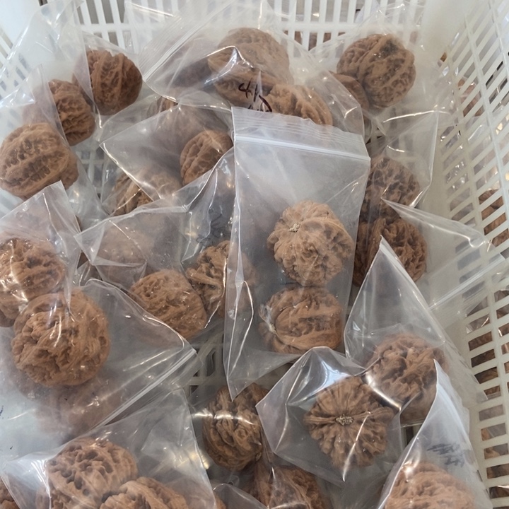 吊坠文玩核桃粗筋瑕疵