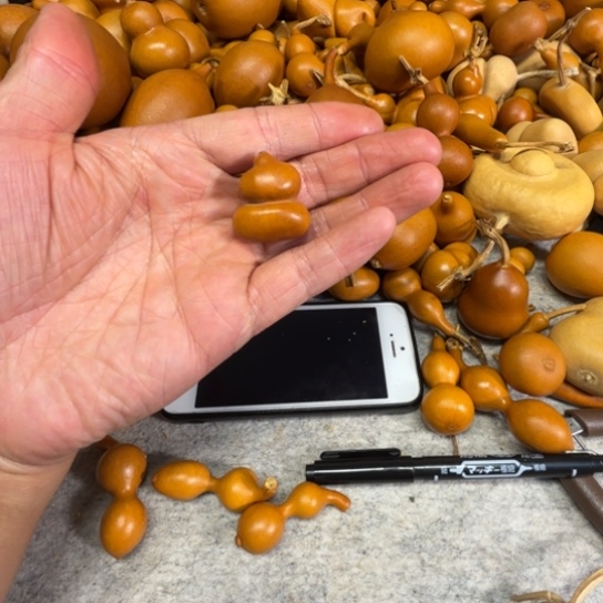 —***️欢喜了一把小钱袋子，葫芦欢喜了