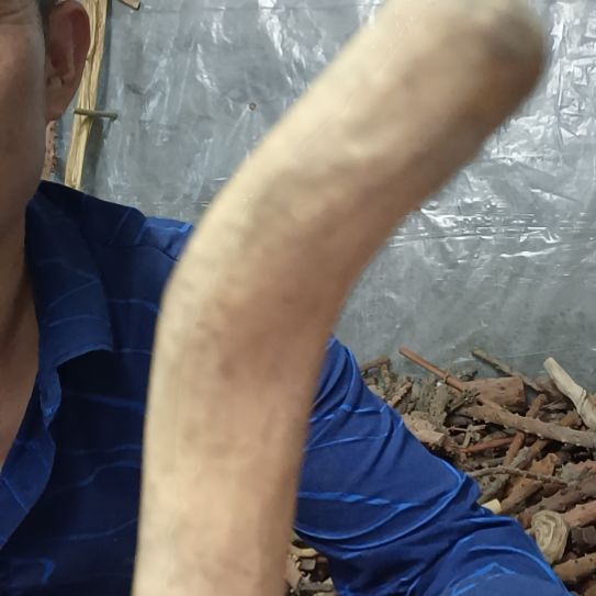 稳定木杜****7高山 檬子木文玩料