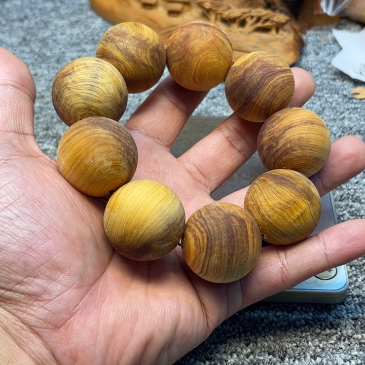 柏木（崖柏）崖柏231