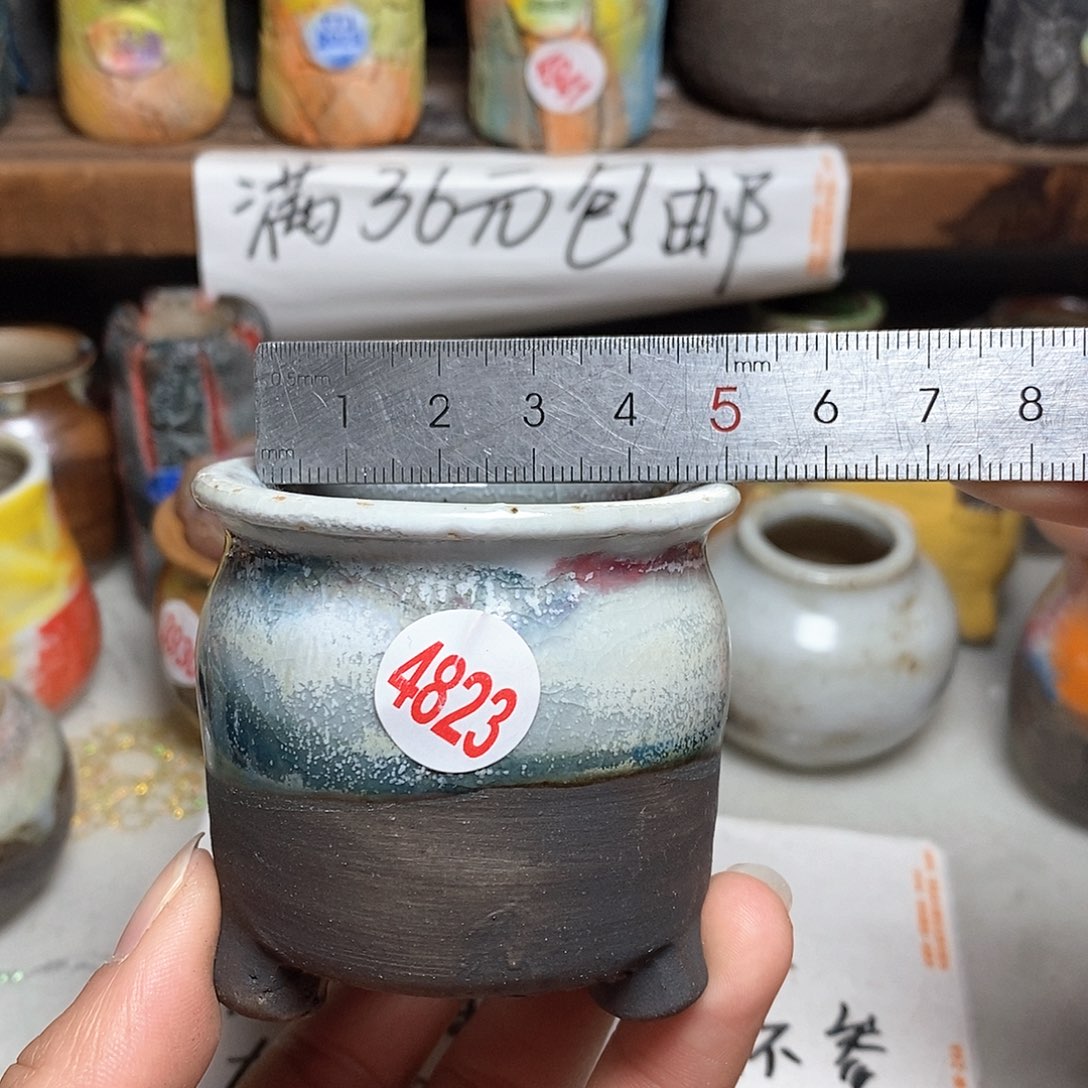 红陶拍5送一个小