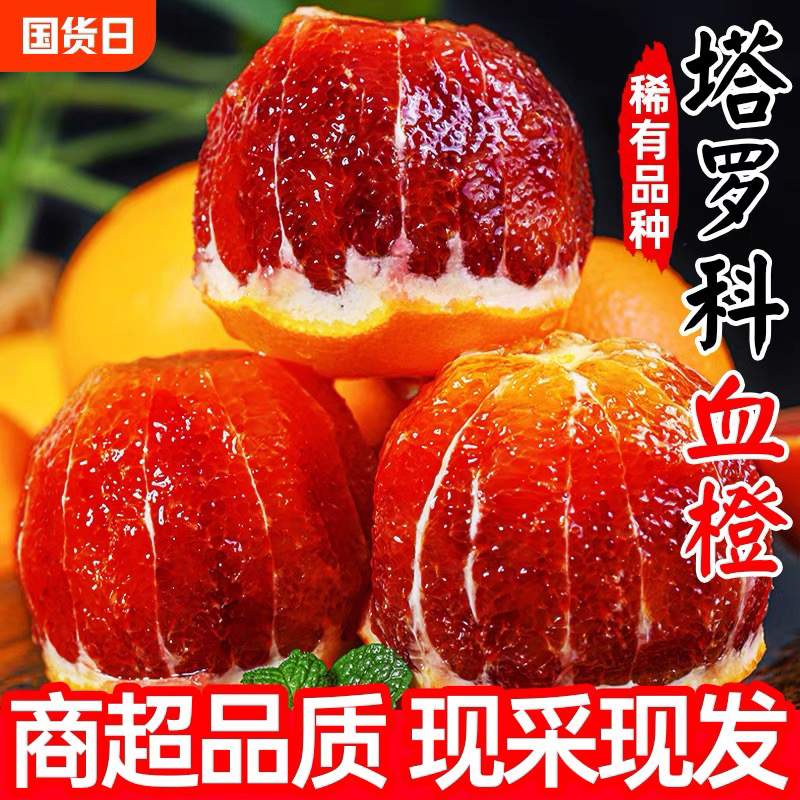 正宗四川资中塔罗科血橙
