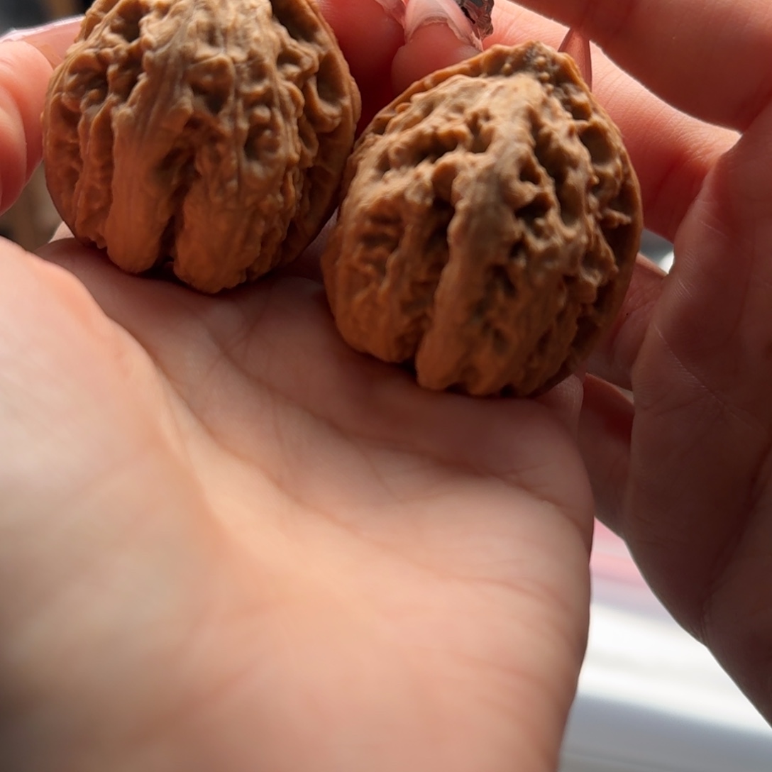 文玩核桃把件关东木子楸百核44