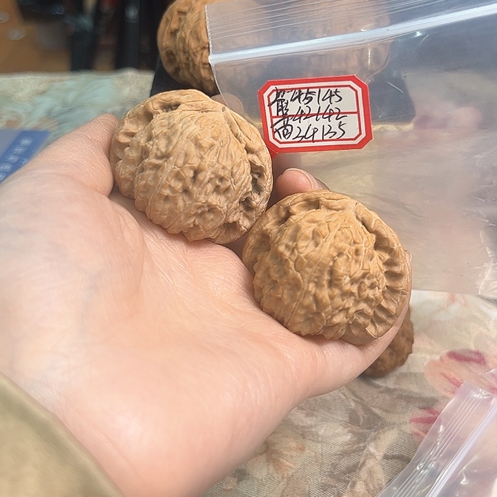 文玩核桃把件白狮子