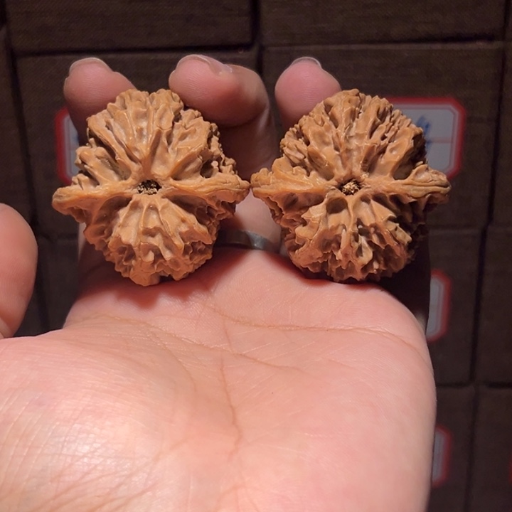 唯***一把件文玩核桃41苹果园