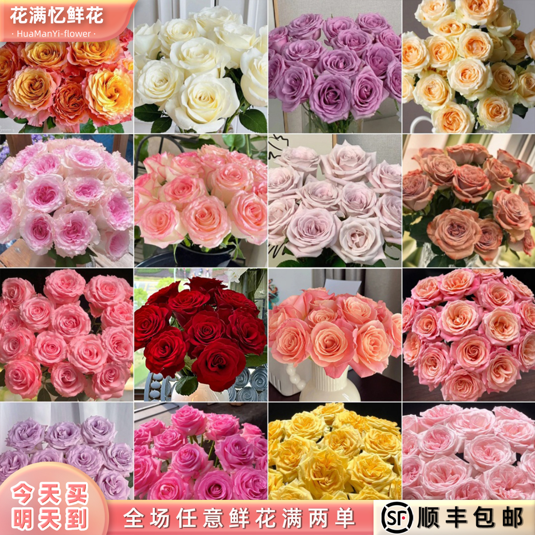 次日达 -【20枝随机单色玫瑰】单色鲜花鲜切花家居花批发任意两单升级顺丰包邮三单送随机花瓶今天拍明天到p