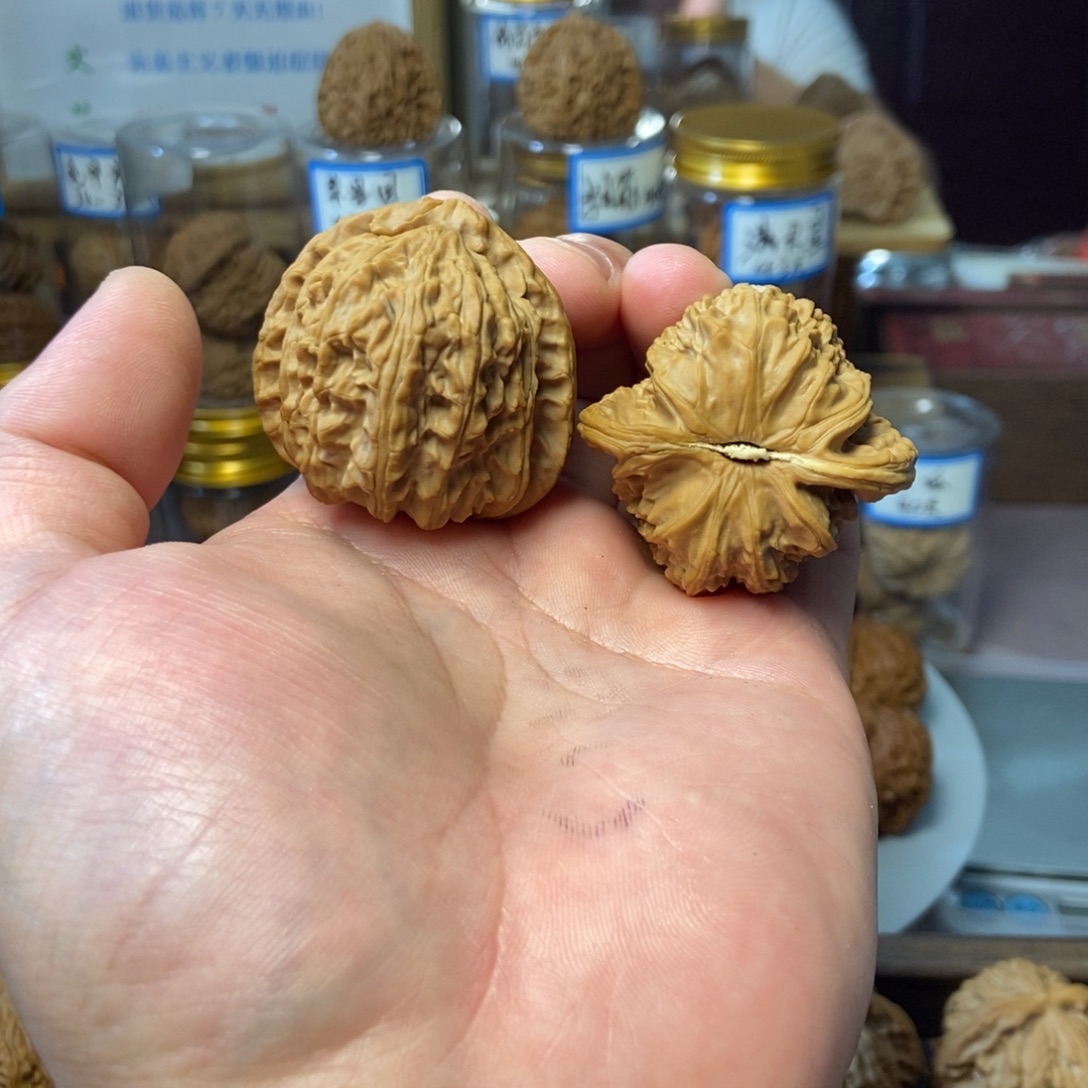 把件文玩核桃白狮子角白  有点小水尖