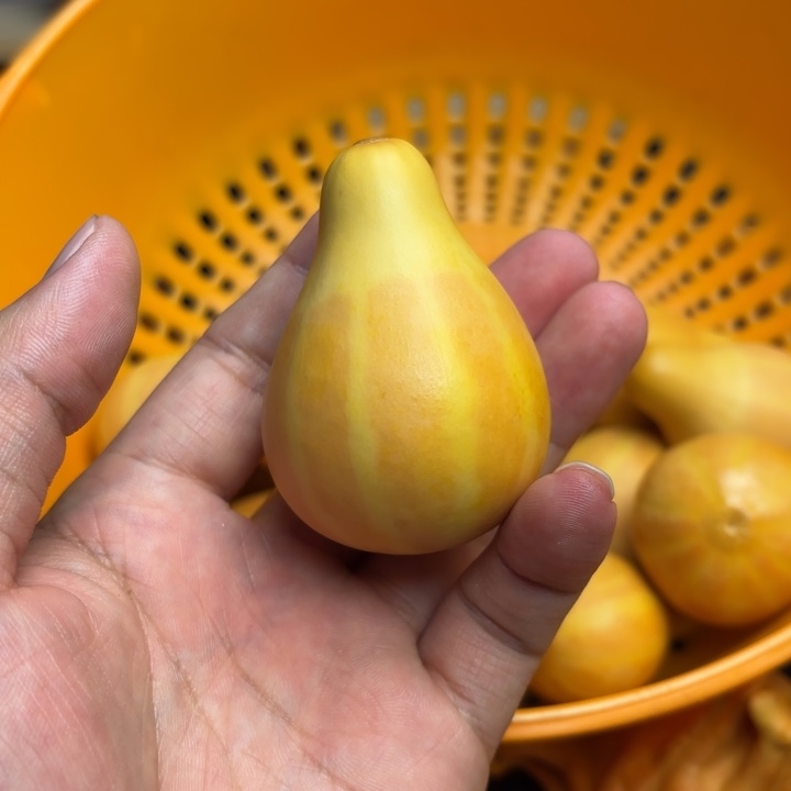 葫芦福利初五发货