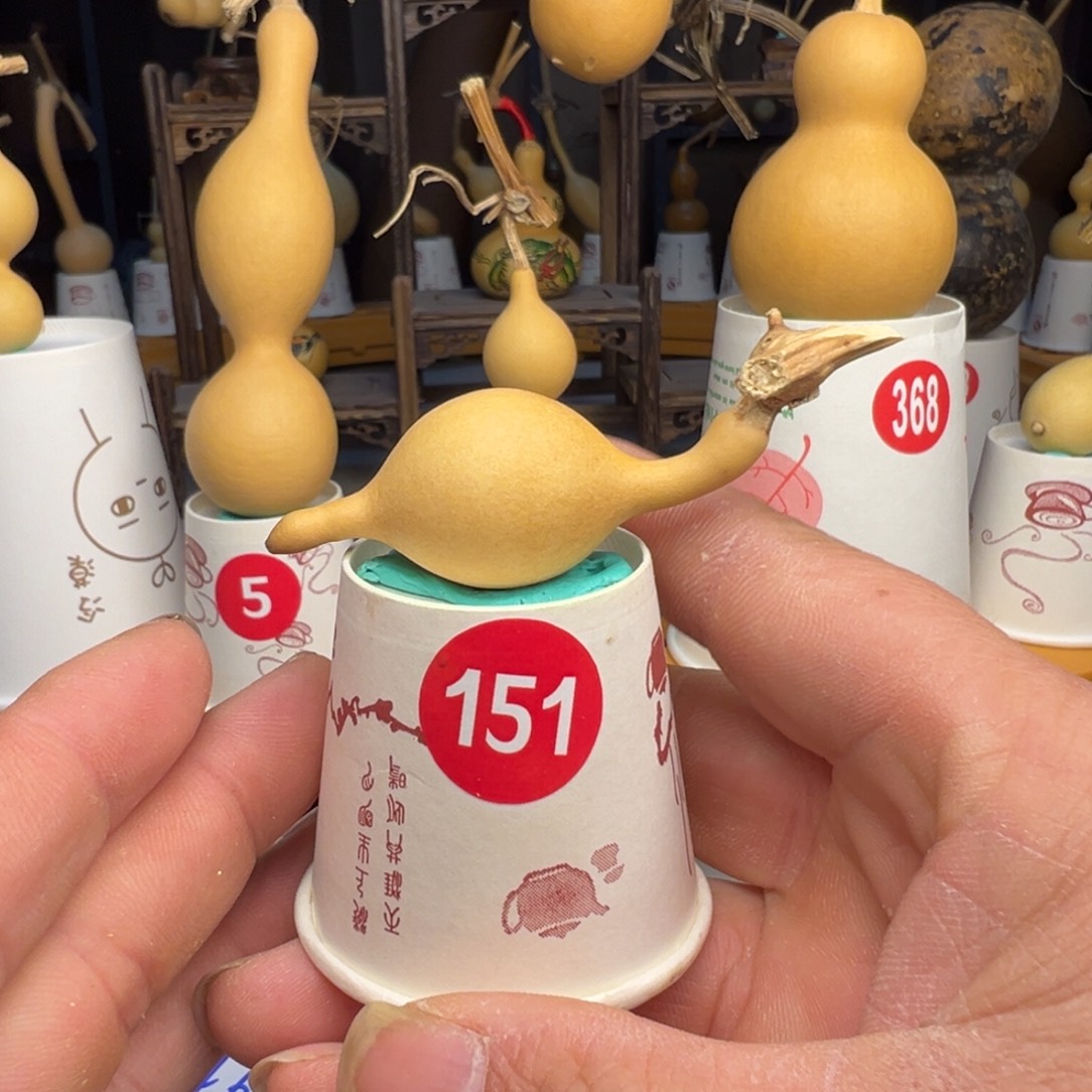 闪电购自助下单编号151