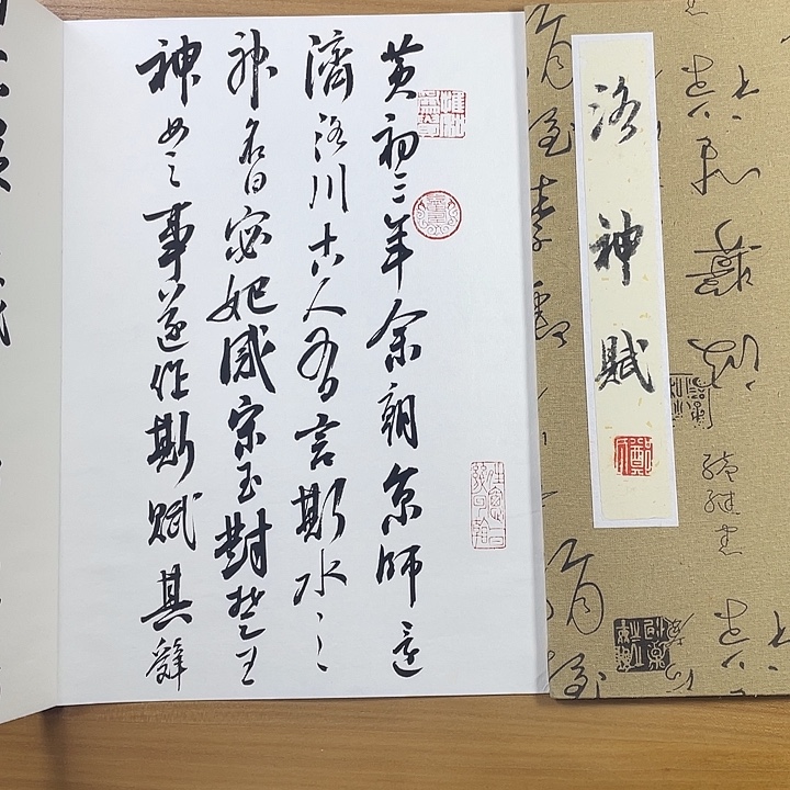 书法中书协老师郑和春