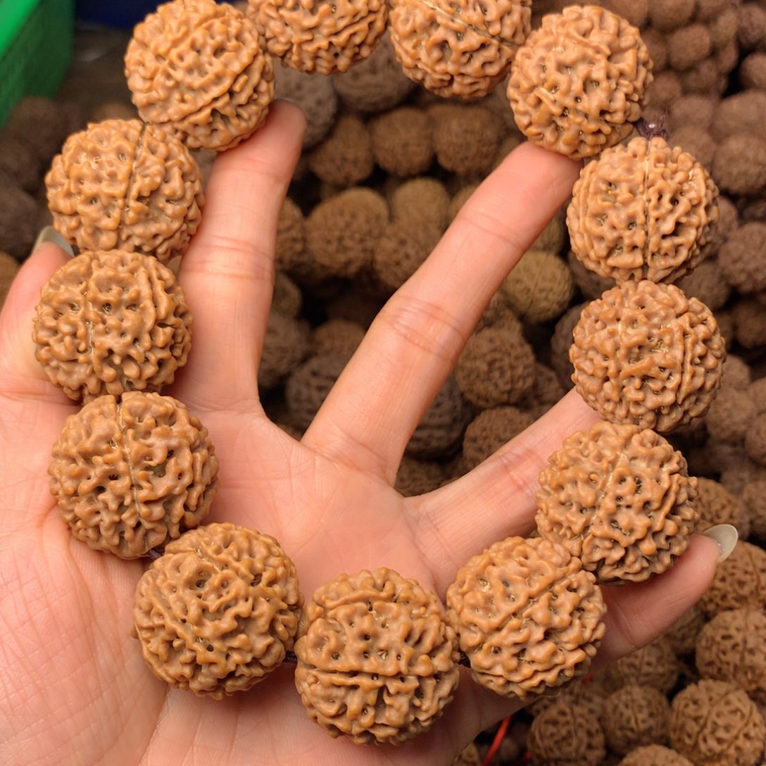 木7瓣爆肉卡28尺寸，88号