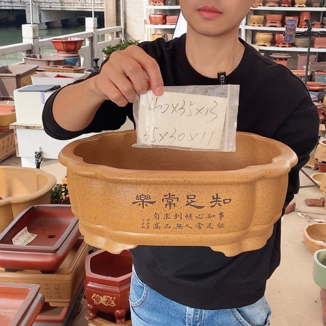 紫砂花盆紫砂花盆