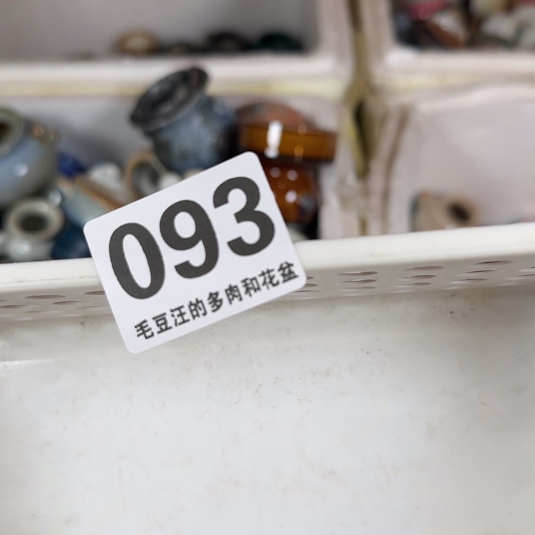 093 花盆 自选瑕疵特惠 no退no换 