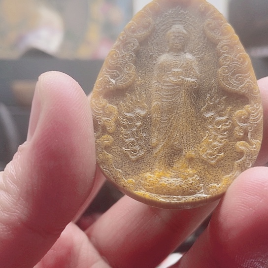 天****5粉末旅游总收入